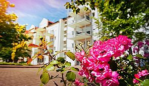 Das Bild zeigt einen Teil des Seniorenzentrums Antonius mit Blumen im Vordergrund.